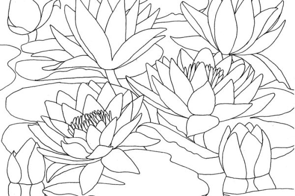 Coloring book for watercolor